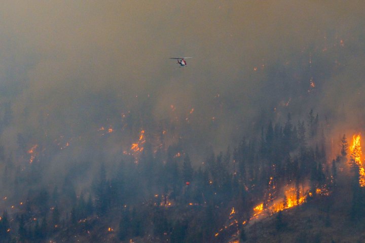 B.C. wildfires: Evacuation alert issued for Sorrento area