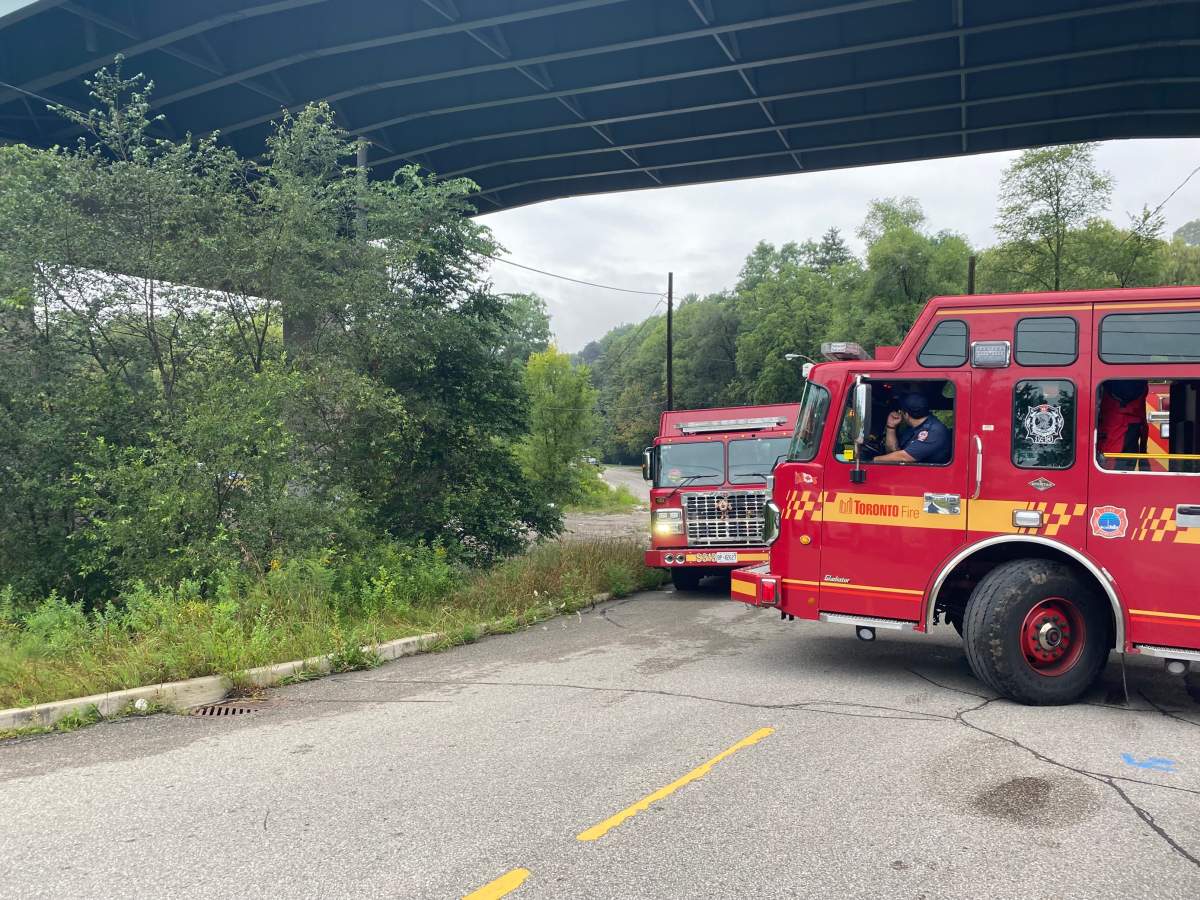 Crews at the scene trying to find a missing male last seen at Earl Bales Park on Aug. 25, 2023.