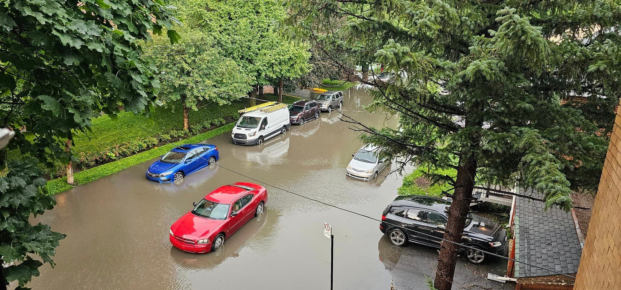 People in Montreal's NDG neighbourhood still cleaning up after recent heavy rains - Montreal - Vimarsana News