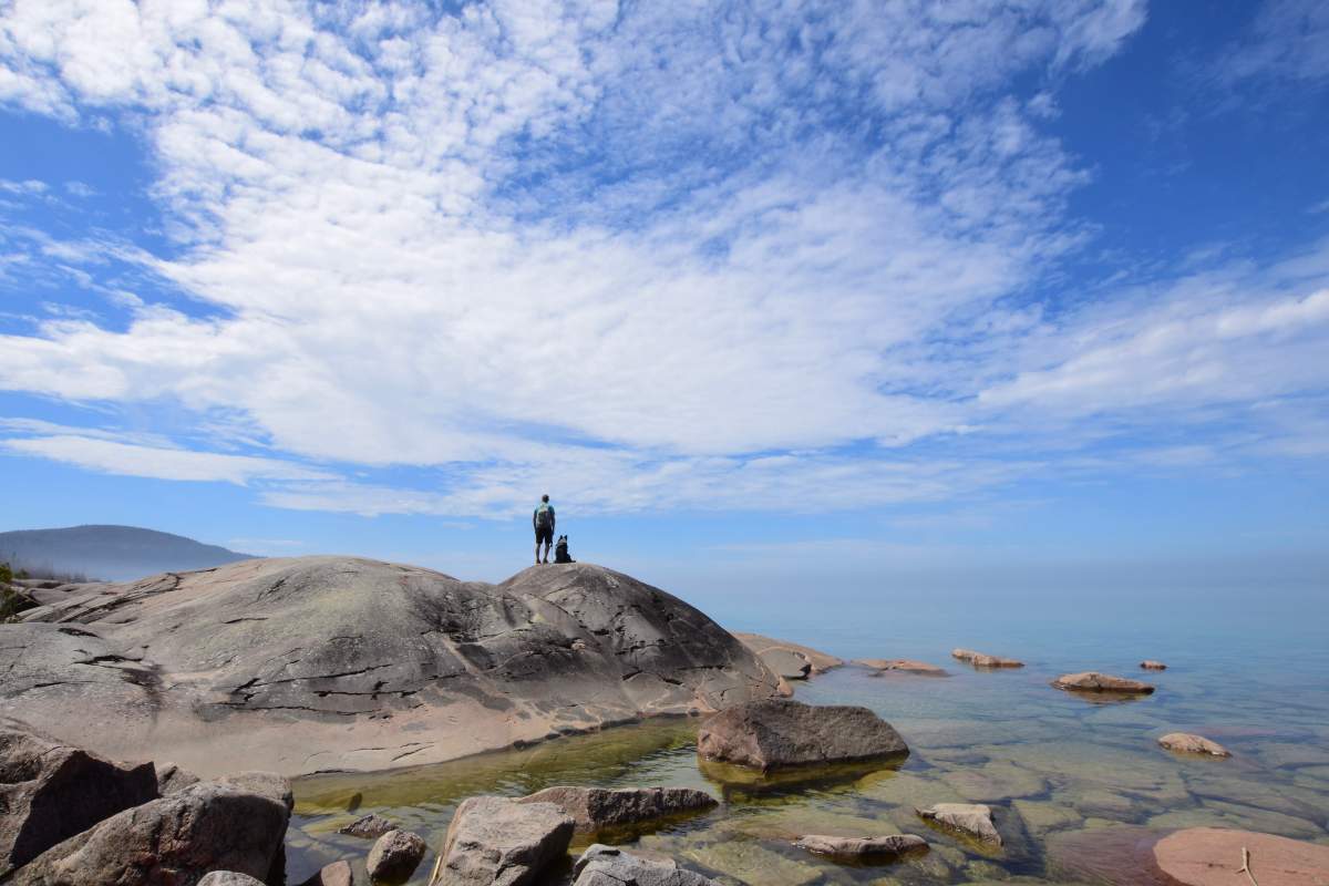 A man and dog on a rock by water on a sunny day.