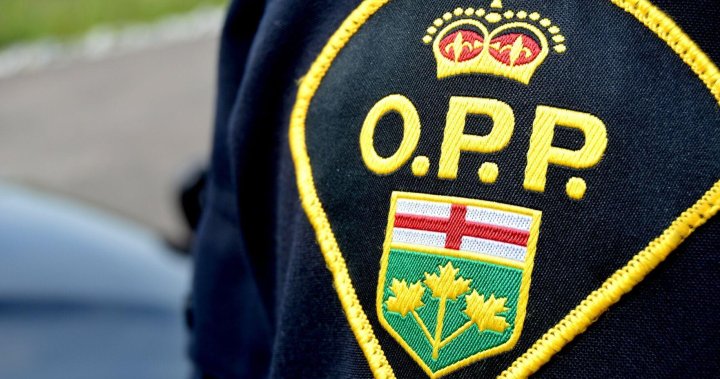 1 dead after chain-reaction crash south of London, Ont.: police