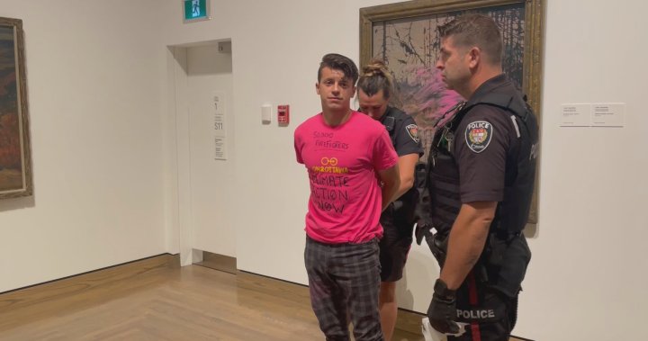 Climate protester throws paint on Tom Thomson art at Canadian gallery – National | Globalnews.ca