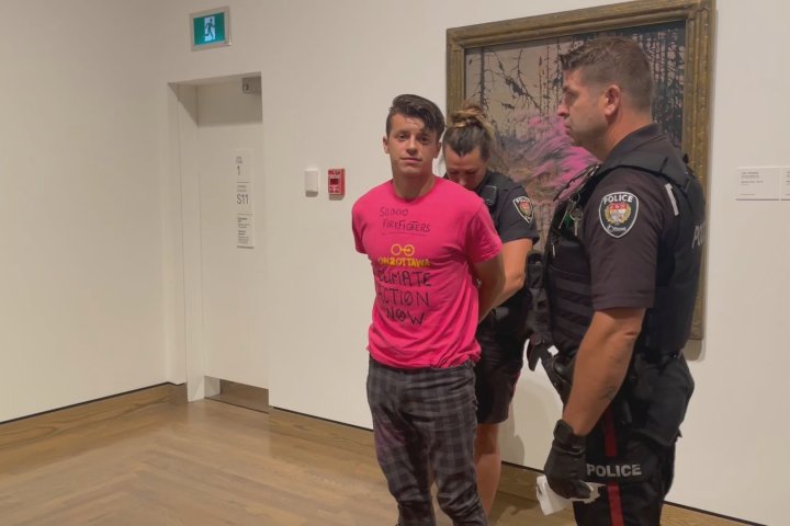 Climate protester throws paint on Tom Thomson art at Canadian gallery