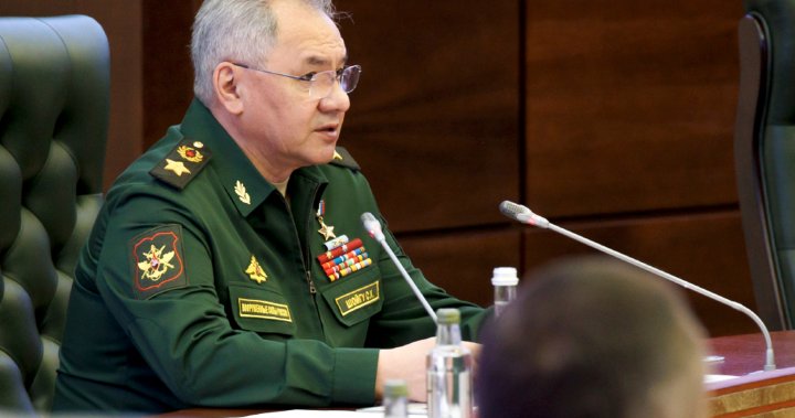 Russia will increase forces in west to counter NATO presence: Shoigu