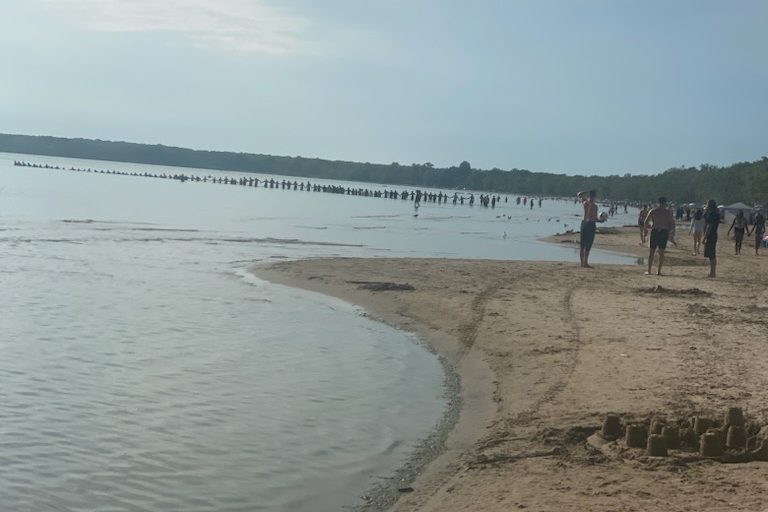 Sandbanks beach rescue