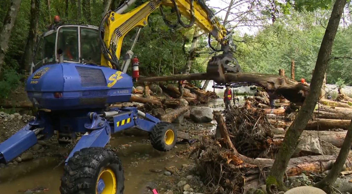 Crews place logs in North Vancouver's Lynn Creek on Thursday. 