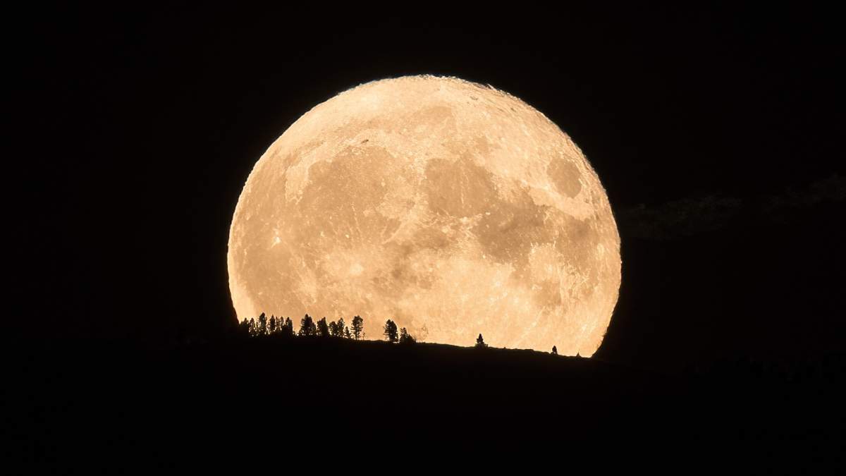 Global News viewer’s photograph of Tuesday night’s Sturgeon Moon.
