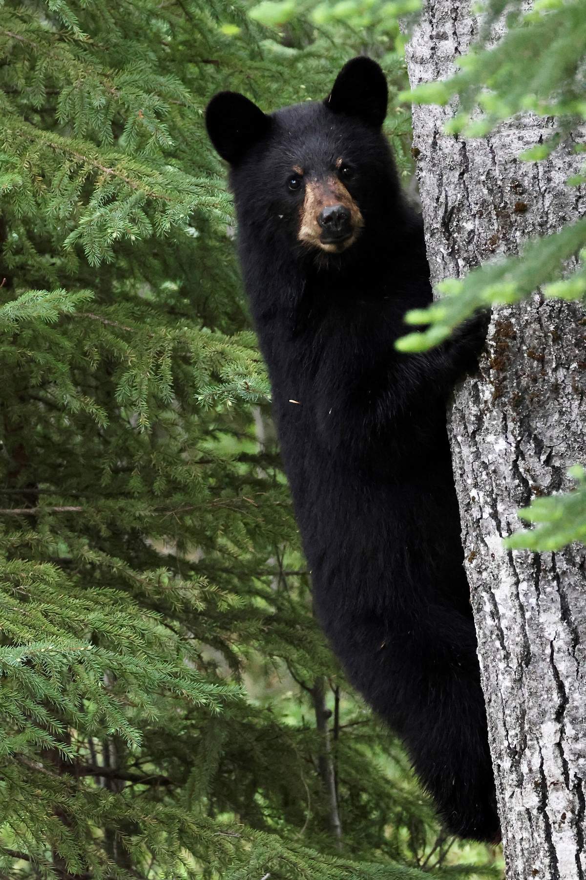 The Your Saskatchewan photo of the day for Aug. 31 was taken by Lianne Relland at Prince Albert National Park.