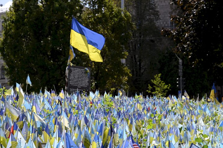 Ukraine wants Canada’s ‘diplomatic muscle’ to boost peace plan support  | 24CA News