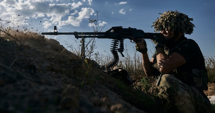 Ukrainian troops liberate strategic southeastern settlement, Kyiv says