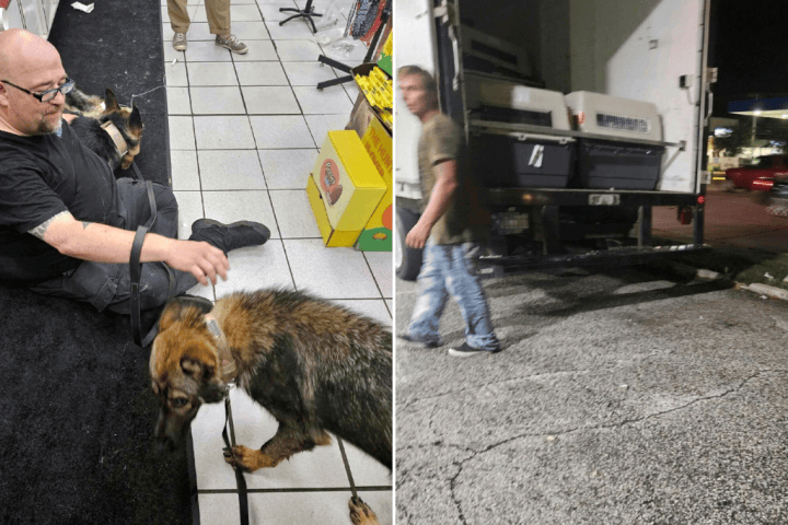 8 police dogs die in overheated van in Indiana, raising questions of neglect