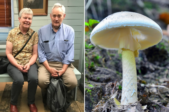 Heather Wilkinson (left) and Ian Wilkinson (right) attended a lunch with a relative that led to Heather's death and Ian left fighting for his life. Police believe they have been poisoned by death cap mushrooms.