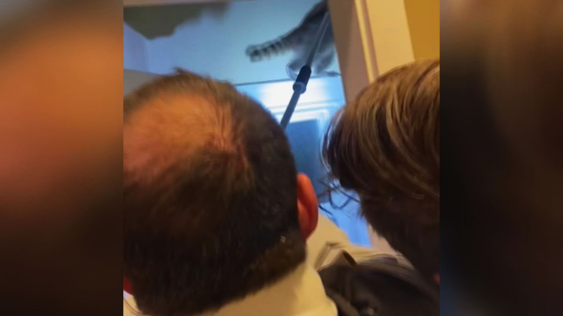 Wild raccoon wrangled inside home after fighting with B.C. family  | 24CA News