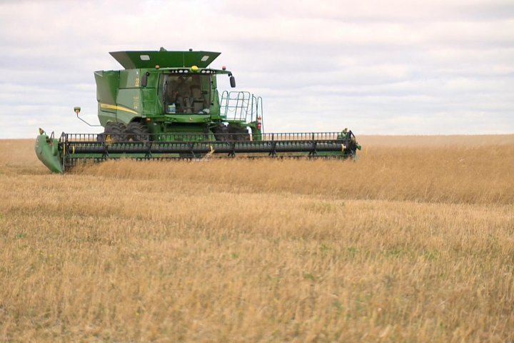 Producers rake in 82 per cent of crops as harvest rounds off in Saskatchewan