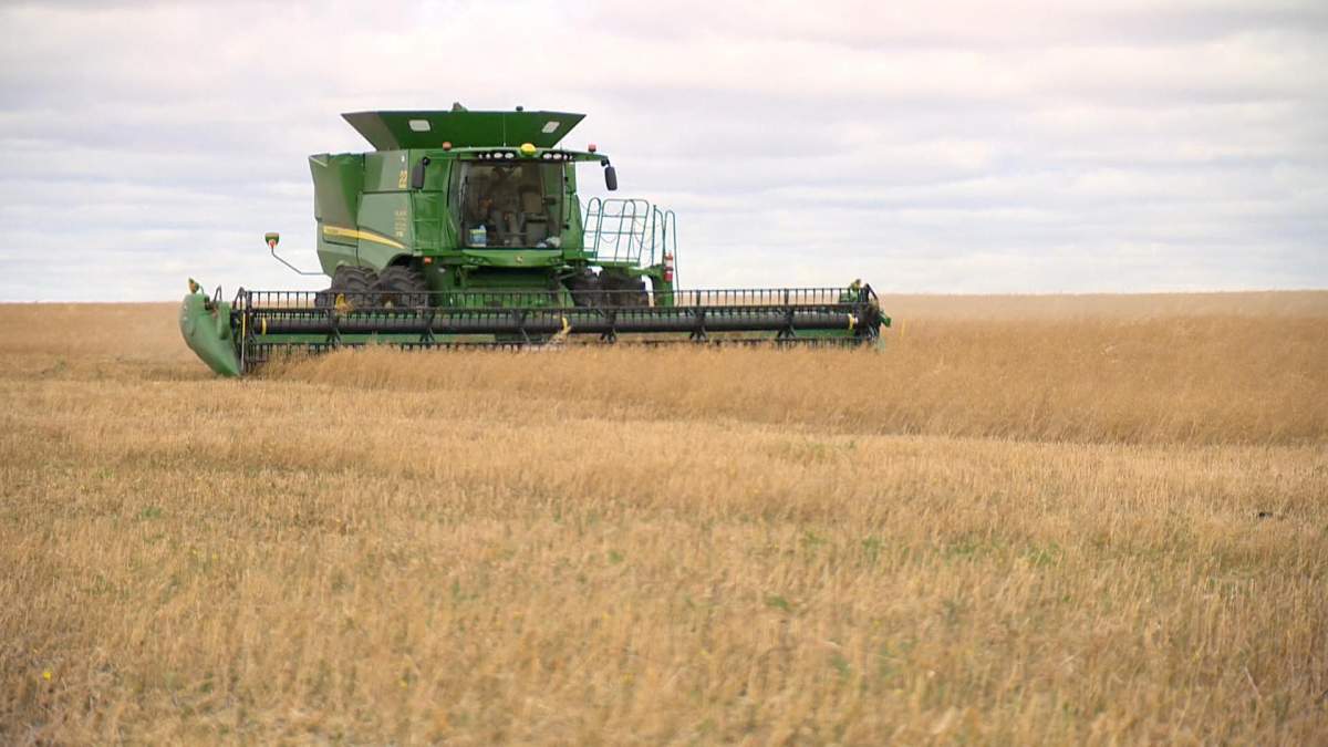 Combine harvesting in a field