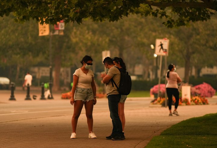 Wildfire smoke may increase risk of brain disease, research suggests – National | 24CA News