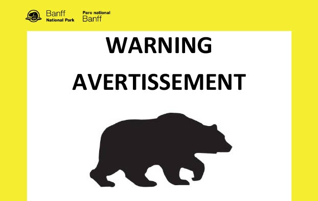 A black bear warning was issued for the Lake Minnewanka Loop in Banff National Park on Aug. 22.