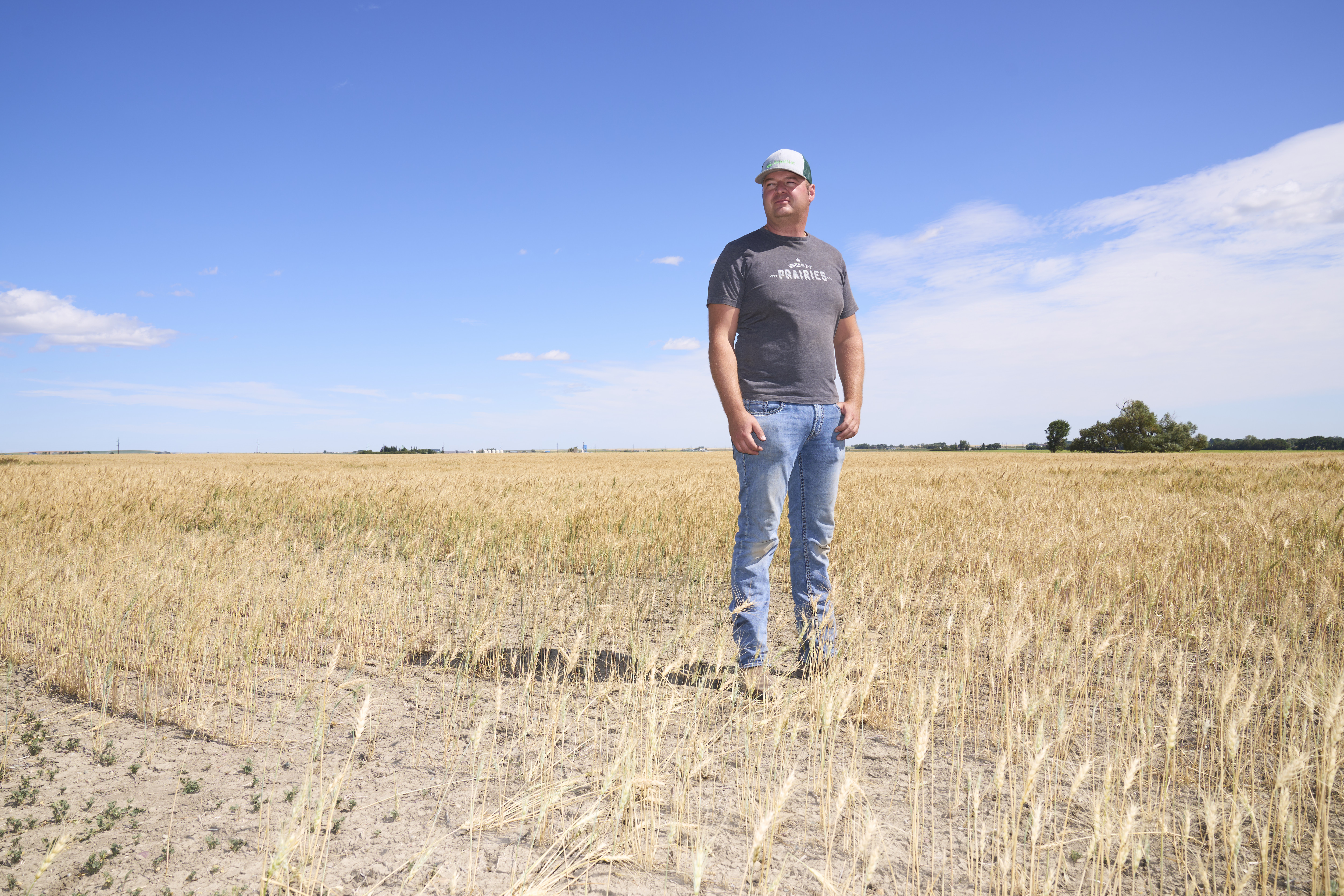 Who are Canada’s farmers? New federal data provides a snapshot – National | 24CA News