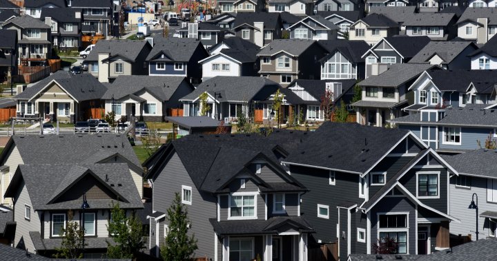 Canadians buying homes with family, friends to break into market: Royal LePage