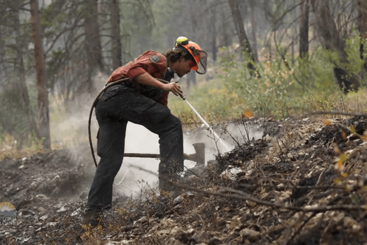 BC Wildfire Service calls for support post-convoy as Shuswap-area fire swells - Vimarsana News