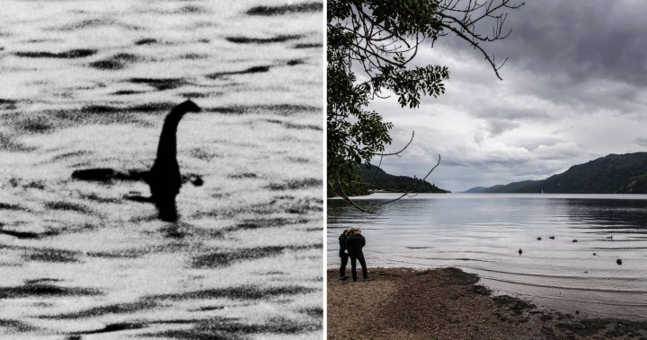 Finding the Loch Ness monster: Biggest hunt for Nessie in 50 years starts soon