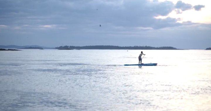 B.C. man hopes to set record for Georgia Strait crossing on stand-up paddleboard