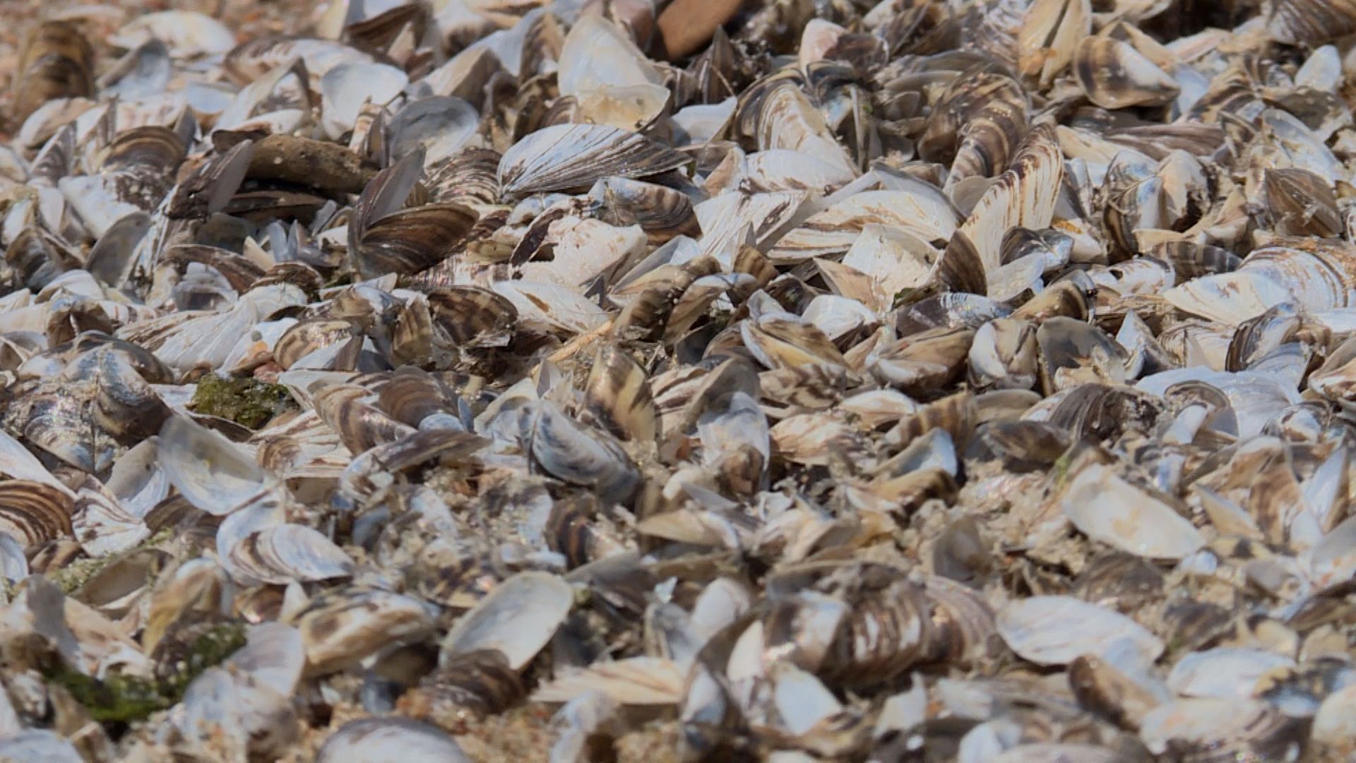 Правителството на Манитоба казва че Parks Canada обмисля затварянето на