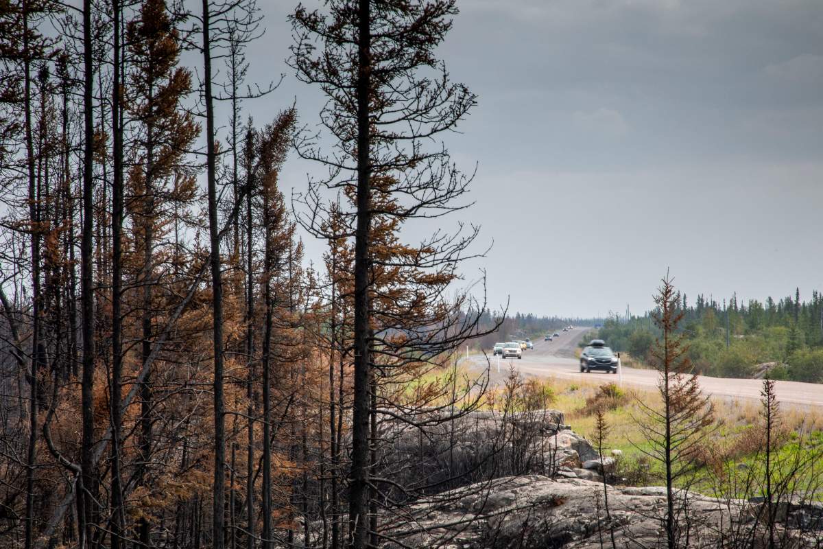 Evacuees from Yellowknife, territorial capital of the Northwest Territories, make their way along highway 3, at the edge of a burned forest, on their way into Ft. Providence, Alta., Thursday, Aug. 17, 2023. 