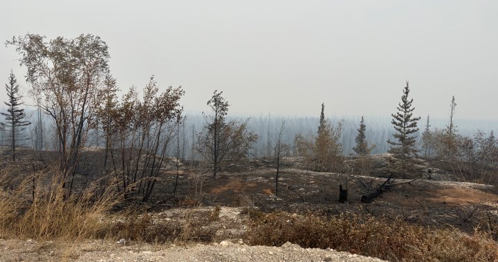 N.W.T. says plan for post-fire returns ready but it’s ‘not time’  | Globalnews.ca