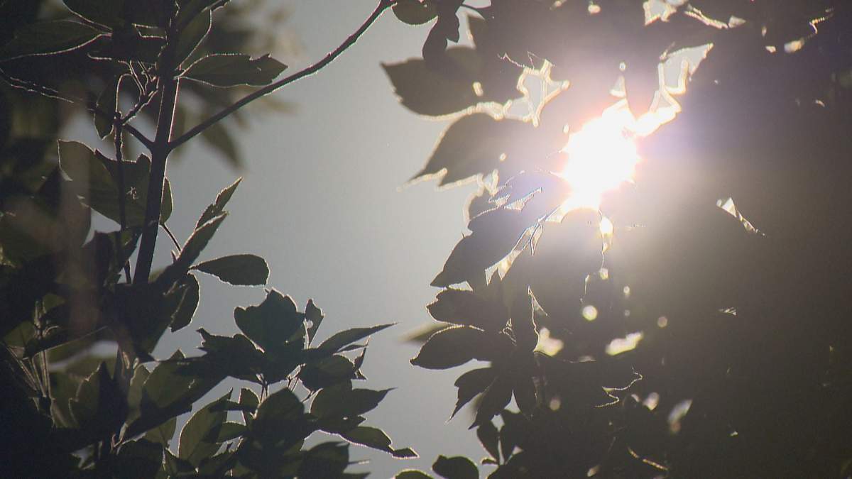 An extreme heat warning is in effect in southern Ontario.