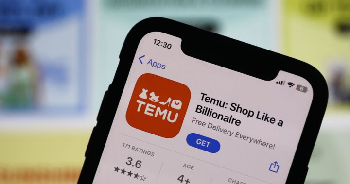 What is Temu, the app that asks users to ‘shop like a billionaire’?