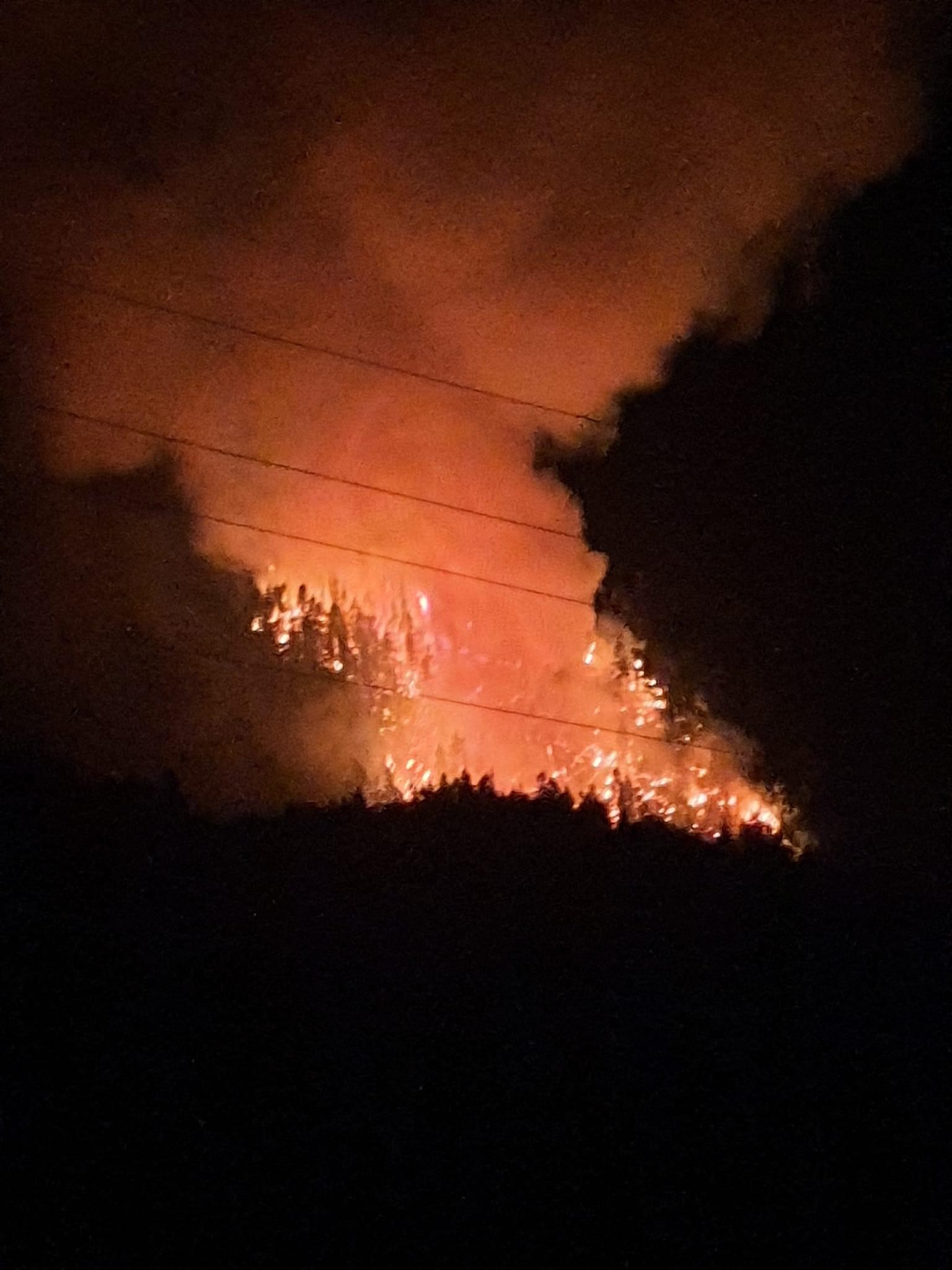 'Everybody's out safe': Princeton Mayor says festival safely evacuated from Rice Road wildfire - Vimarsana News