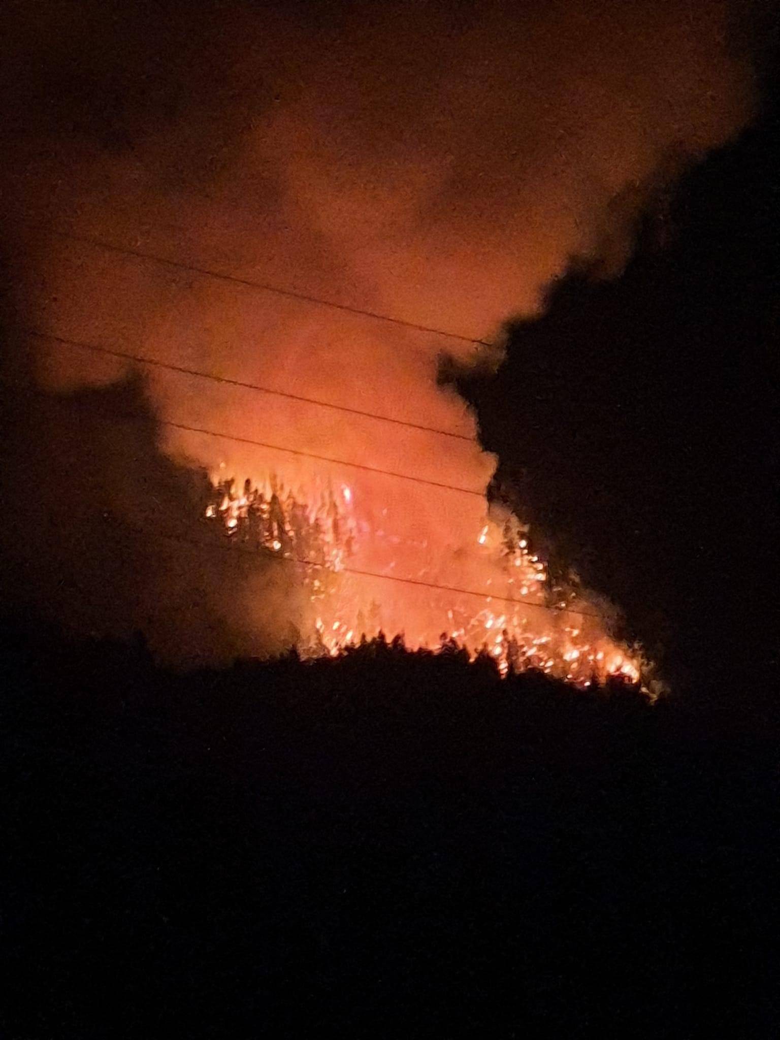 'Everybody's out safe': Princeton Mayor says festival safely evacuated from Rice Road wildfire - Vimarsana News
