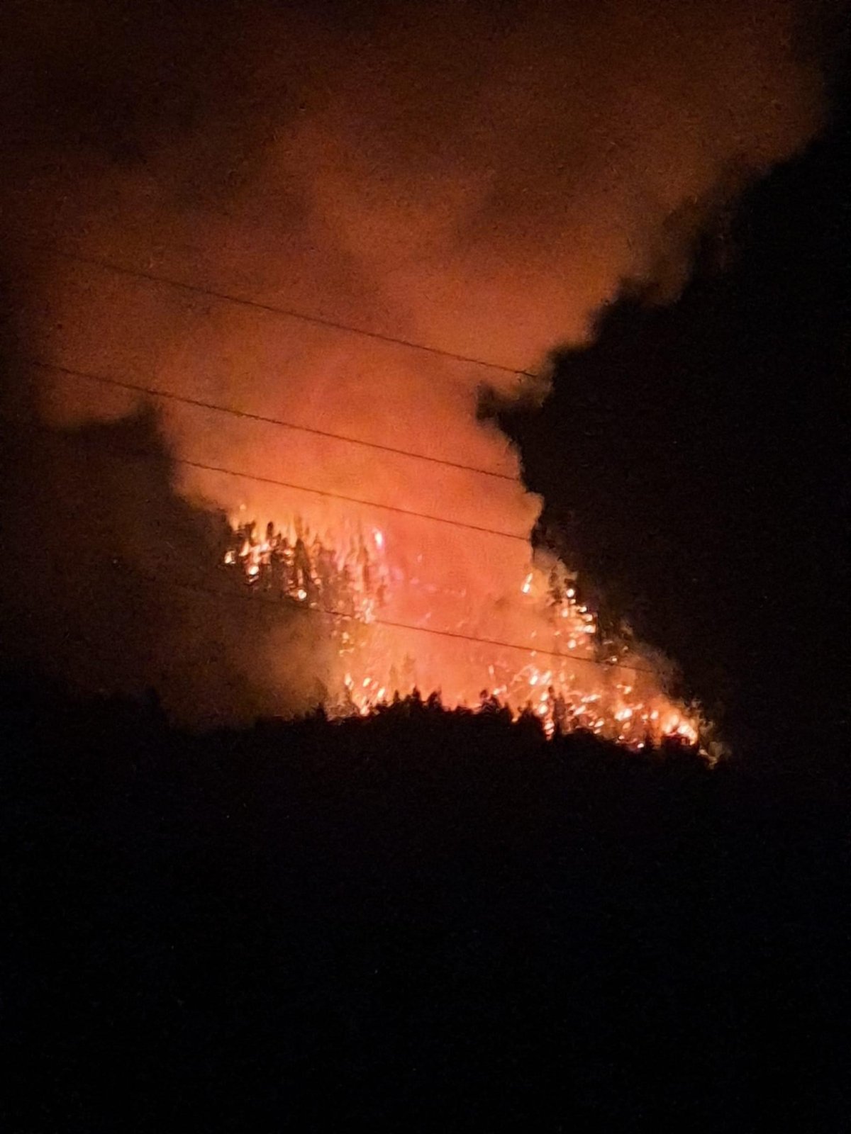 A fire near Coalmont, B.C. forced the evacuation of a festival in the area. 