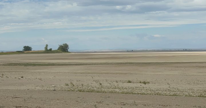 Правителството на Алберта формира комитет за подготовка за тежка суша