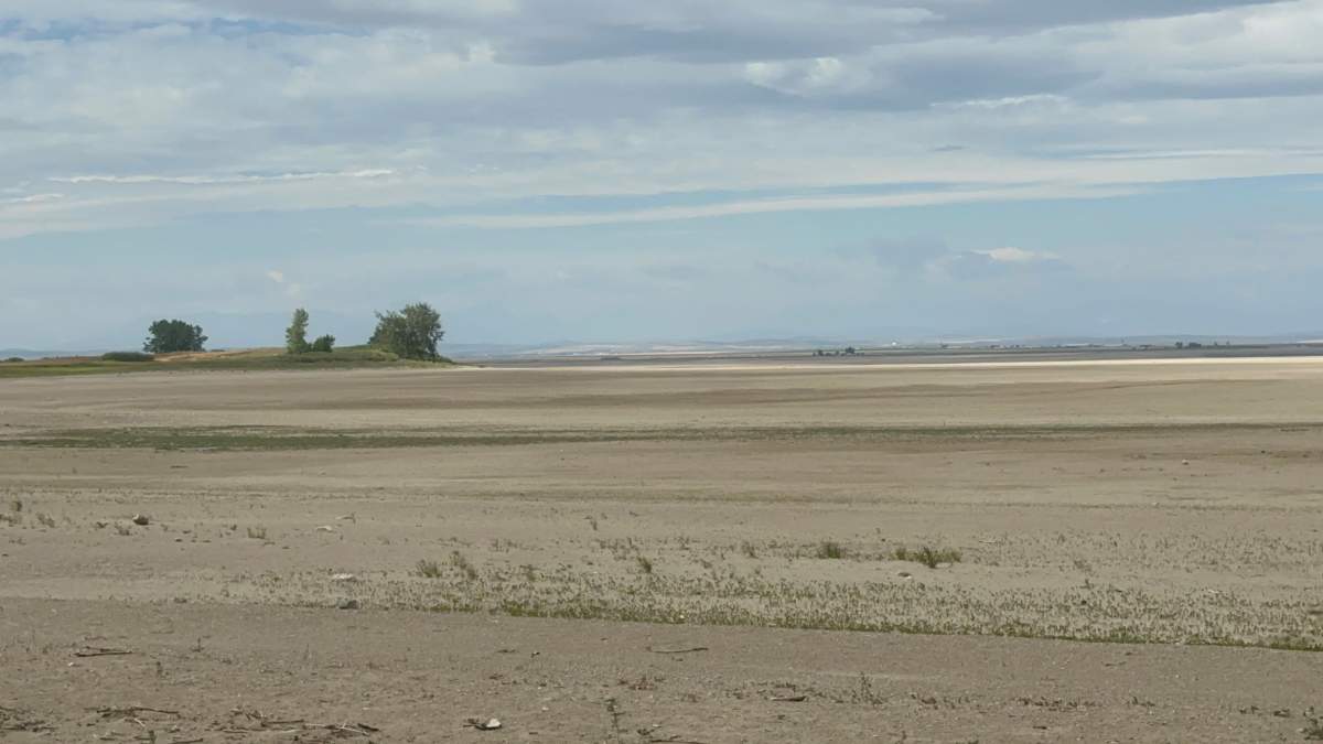 Wallys beach, St Mary Reservoir. August 2023.