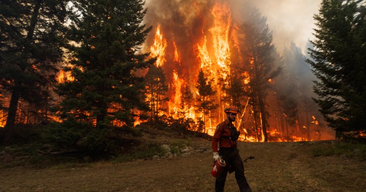 Anxiety, depression and anger: The mental health impacts of natural disasters  | Globalnews.ca