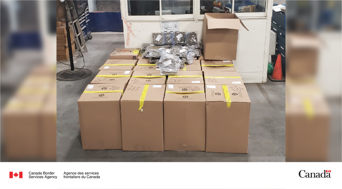 345 bags of suspected cannabis seized at the Port of Halifax on Aug. 29, 2023.