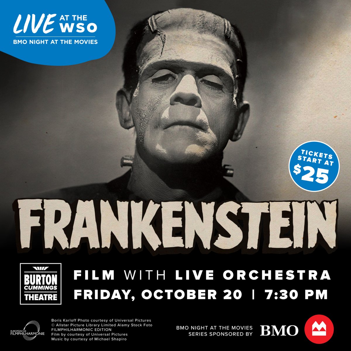 WSO: Frankenstein - image