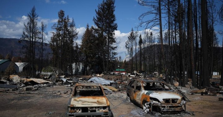 CSRD търси публичен принос относно горския пожар в Буш Крийк Изток