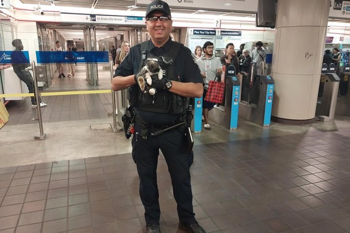 B.C. transit cops hop into action, reunite support bunny with owner