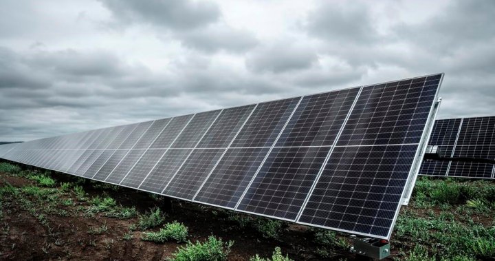 2025年萨斯喀彻温省最大太阳能设施的建设即将开始