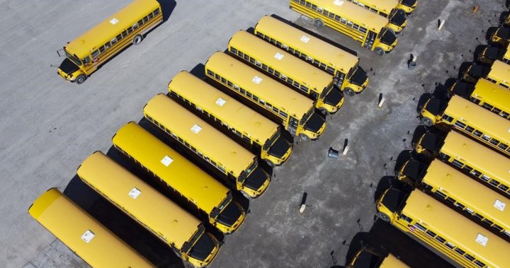 Union challenges съобщават, че N.B. шофьорите на училищни автобуси не отговарят на изискванията за лицензиране
