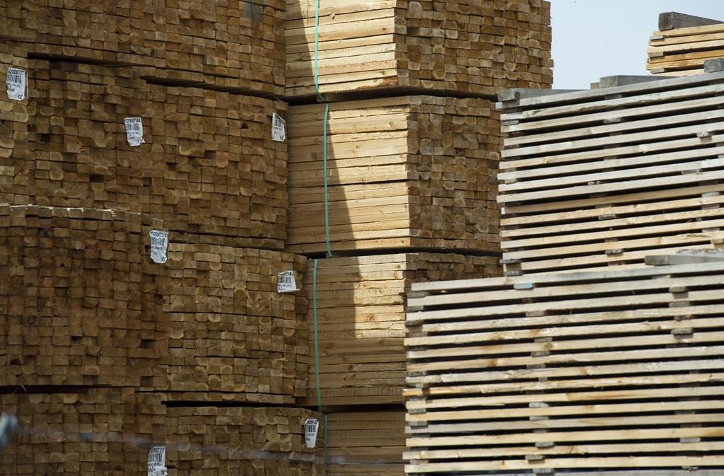 Fresh cut lumber is pictured stacked at a mill in Maple Ridge, B.C., Thursday, April 25, 2019. 