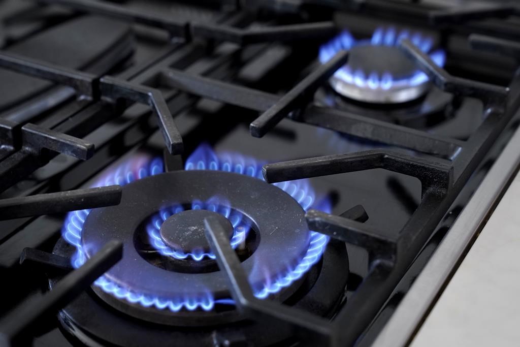 British Columbia natural gas users will soon see their bills decrease starting in October. Flames emerge from burners on a natural gas stove, Wednesday, June 21, 2023, in Walpole, Mass. THE CANADIAN PRESS/AP-Steven Senne.