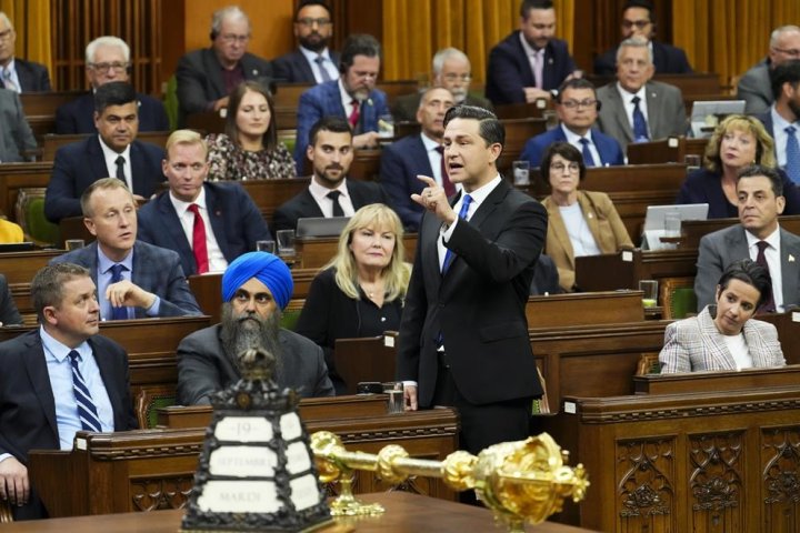 4 in 10 Canadians say Pierre Poilievre best choice for PM: poll