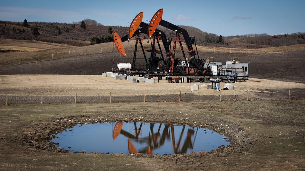 Pumpjacks draw out oil and gas from wellheads near Calgary on Friday, April 28, 2023. A growing number of forecasts are calling for the return of US$100 oil before the end of the year.