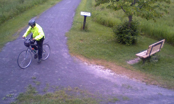 Kingston police are continuing their search for an individual they say has caused around $5,000 worth of damage to multiple parks across the city.