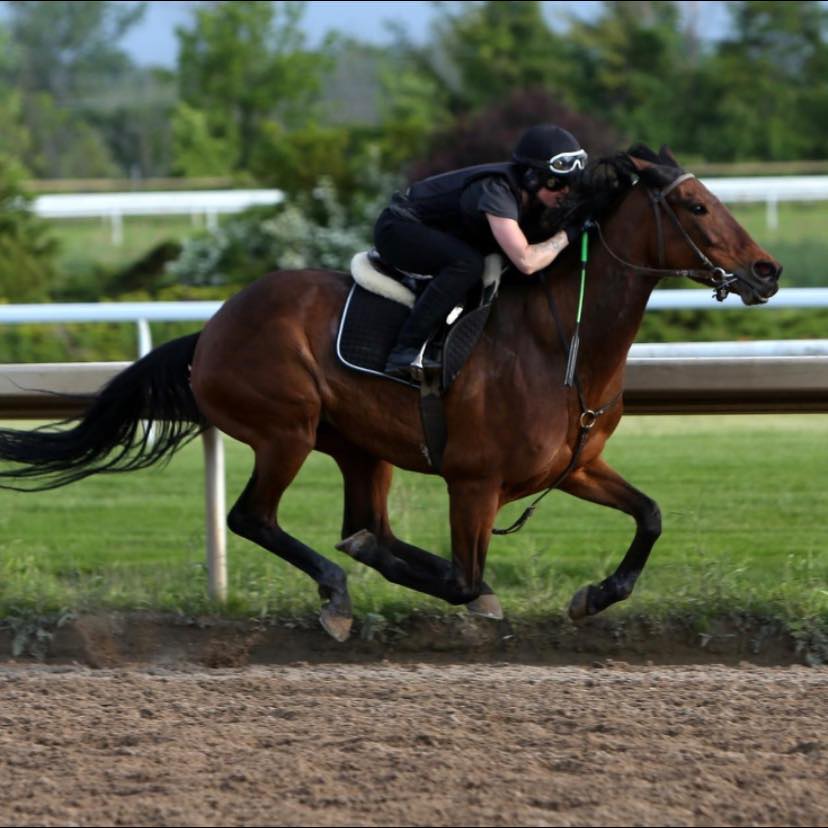Nicole Hein spent years working at Marquis Downs, starting out cleaning stalls and working her way up to becoming a jockey rider.