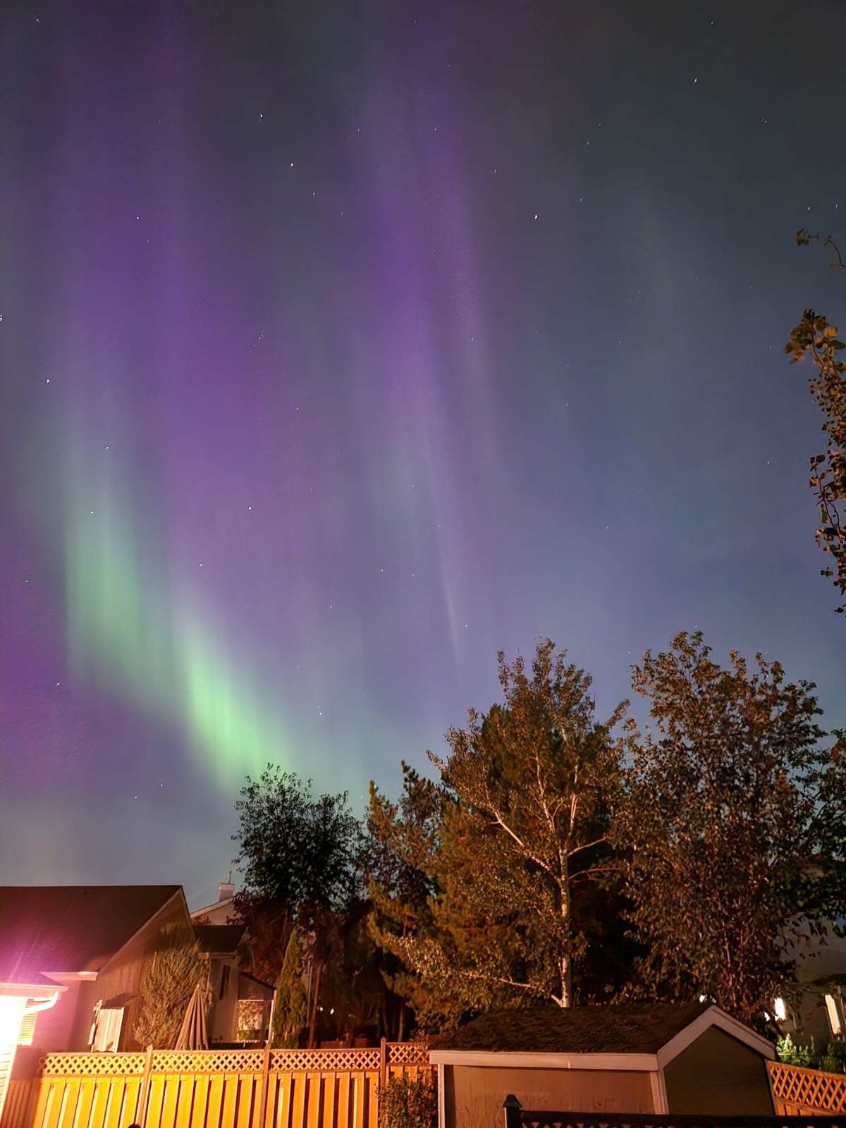 Northern Lights in Alberta.